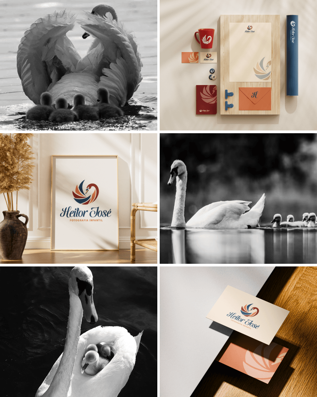 Identidade Visual — Heitor José — imagem 42